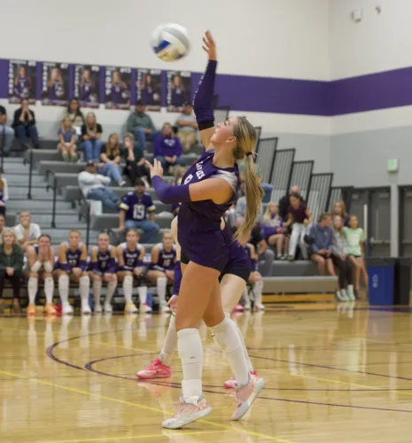 Area roundup: Cougars top Eagles